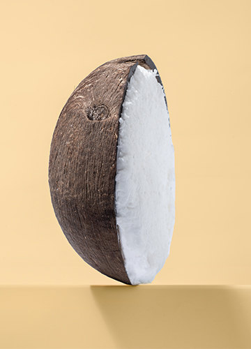 Cocco